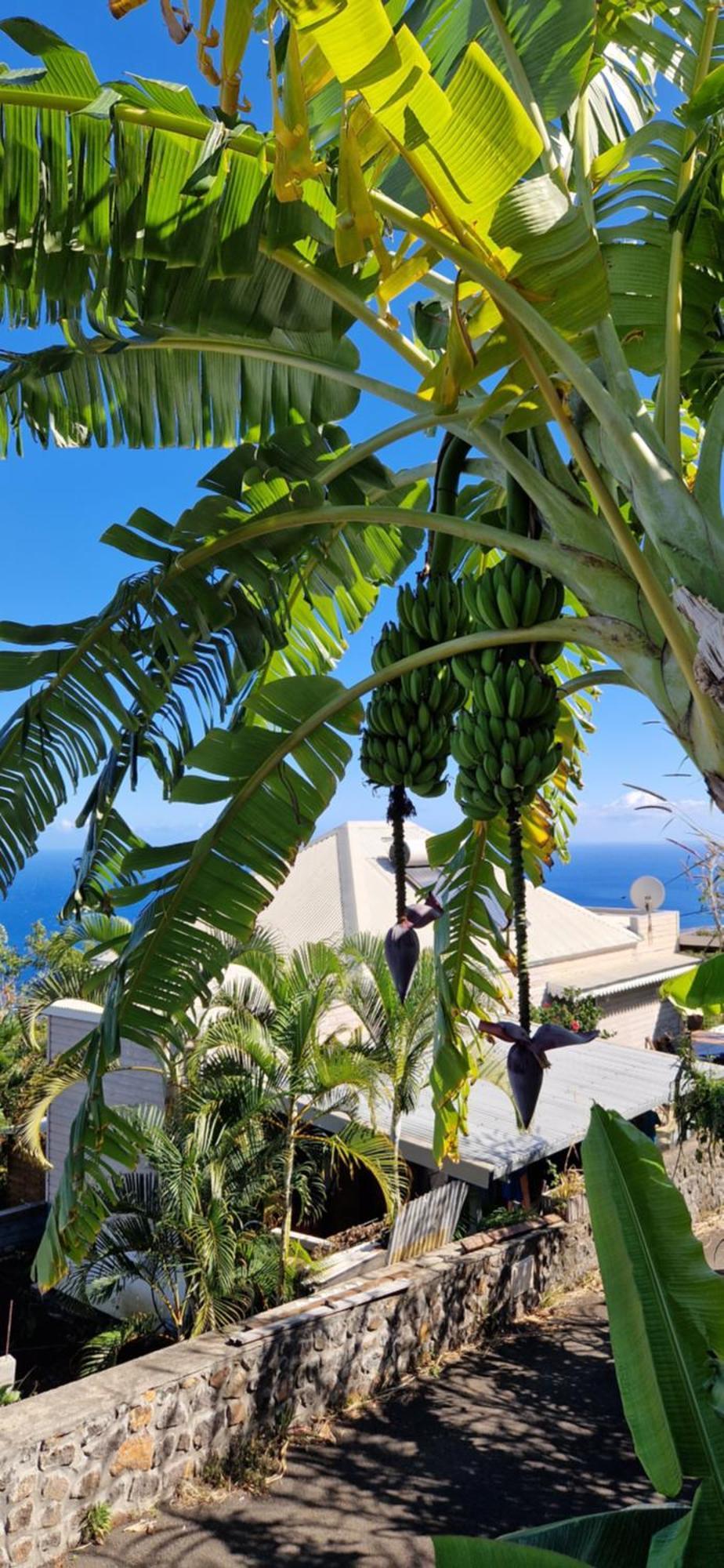 Villa Maloya Saint-Leu Exterior photo